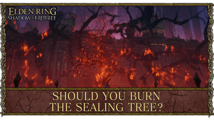 Should You Burn the Sealing Tree? | Elden Ring Shadow of the 