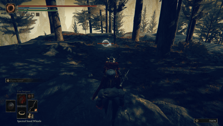 Elden Ring - Raging Beast Ash of War World View