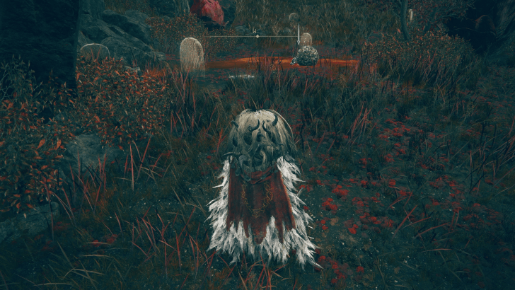 Elden Ring - The Poison Flower Blooms Twice Ash of War World View