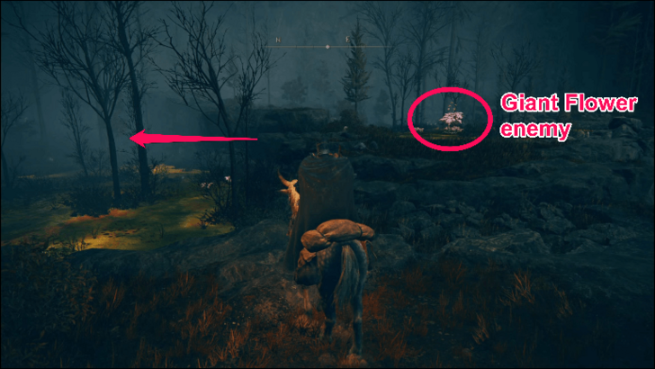 to Ellac River Cave step 3