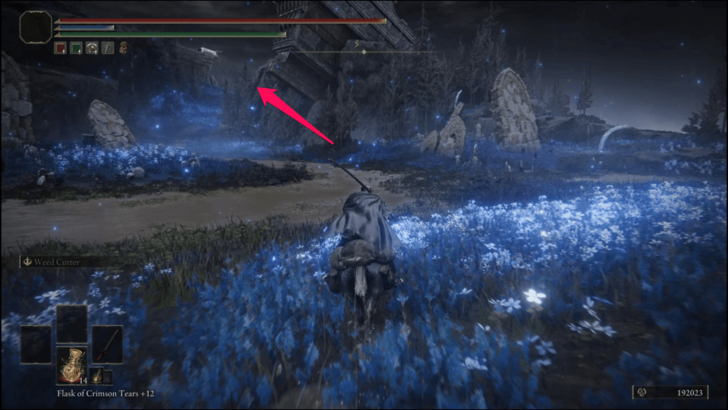 to the Fissure step 1