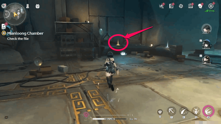 Wuthering Waves - Check the file