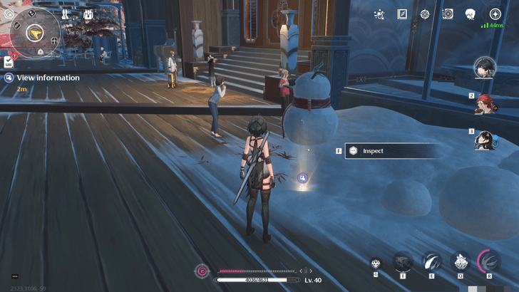 Wuthering Waves - Photo II - View Information