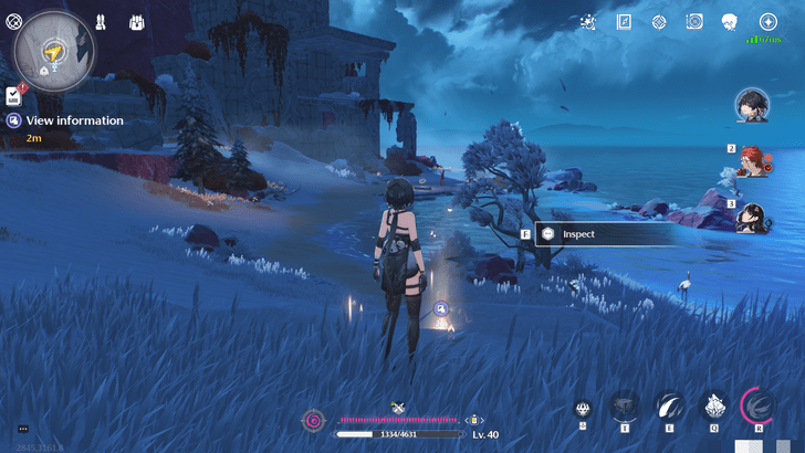 Wuthering Waves - Photo IX - View Information