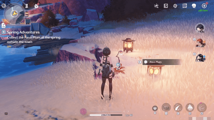 Wuthering Waves - Spring Adventures - Head to the Spring in Loong