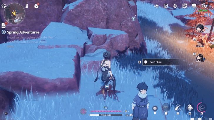 Wuthering Waves - Spring Adventures - Head to the Spring Within Hongzhen