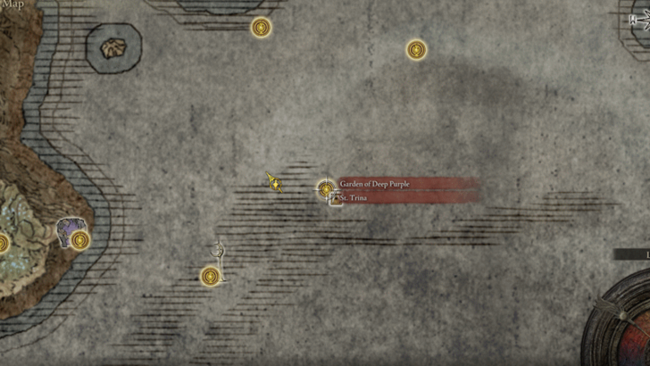 Elden Ring - St Trina Disciple