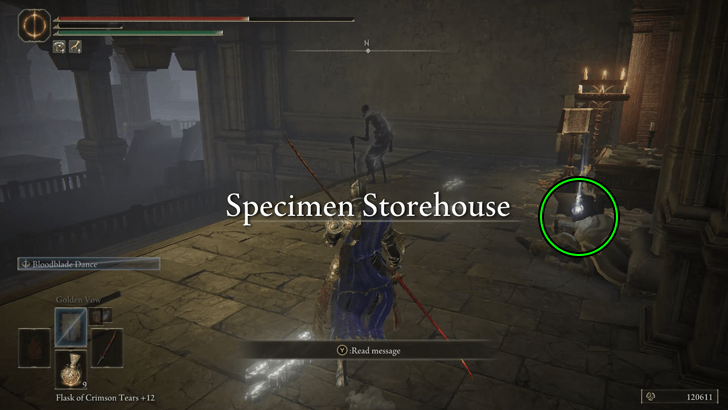 Elden Ring - Somber Smithing Stone 9 World View