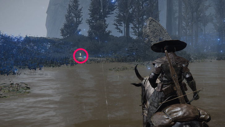 Elden Ring - Cerulean Coast West World Location