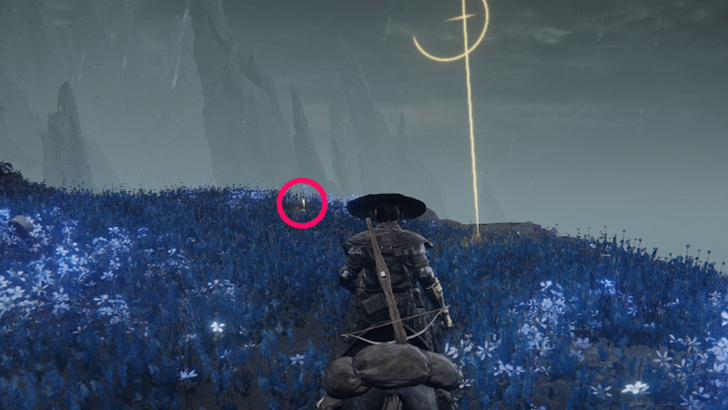Elden Ring - Cerulean Coast Cross World Location