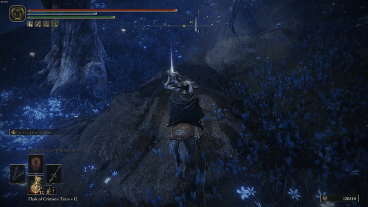 Elden Ring - St. Trina Disciple