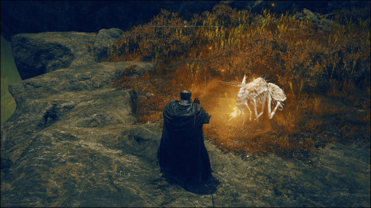 Forager Brood 4 world location