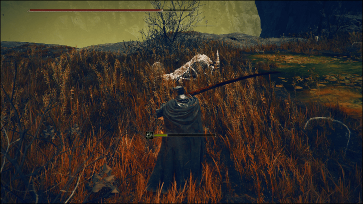 Forager Brood 5 world location