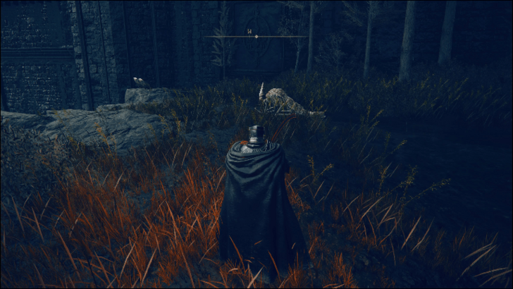 Forager Brood 6 world location