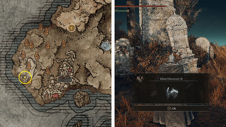 Elden Ring - Ghost Glovewort 4 Split View