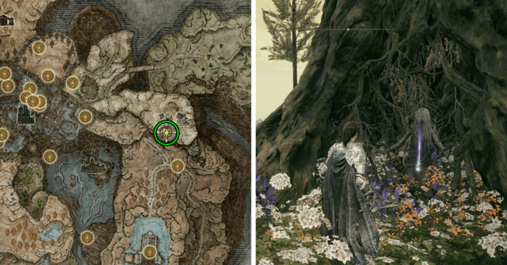 Elden Ring - Golden Braid