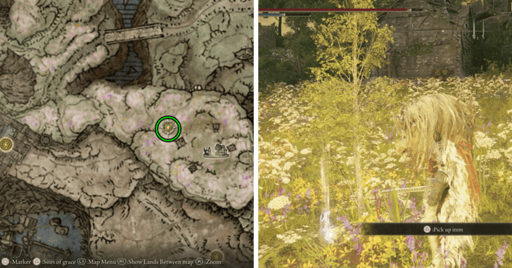 Elden Ring - Minor Erdtree Incantation