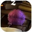 Fuzzball Image