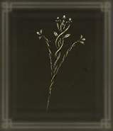 Elden Ring - Lacerating Crossed-Tree