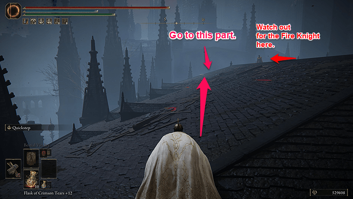 Elden Ring - Scadutree Chalice 3