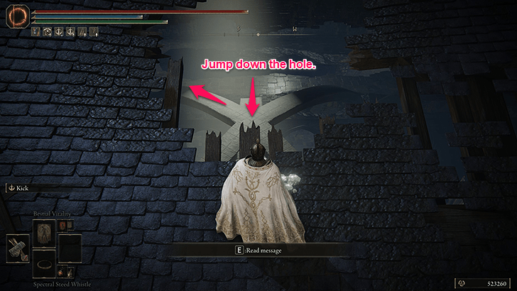 Elden Ring - Scadutree Chalice 5