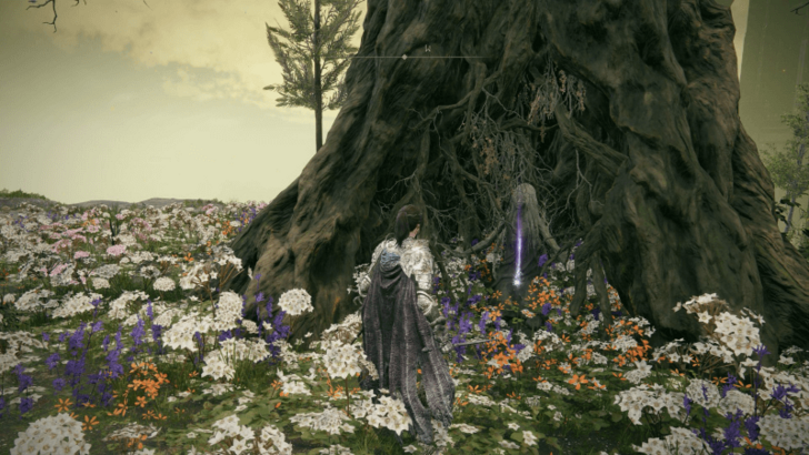 Elden Ring - Golden Braid World View