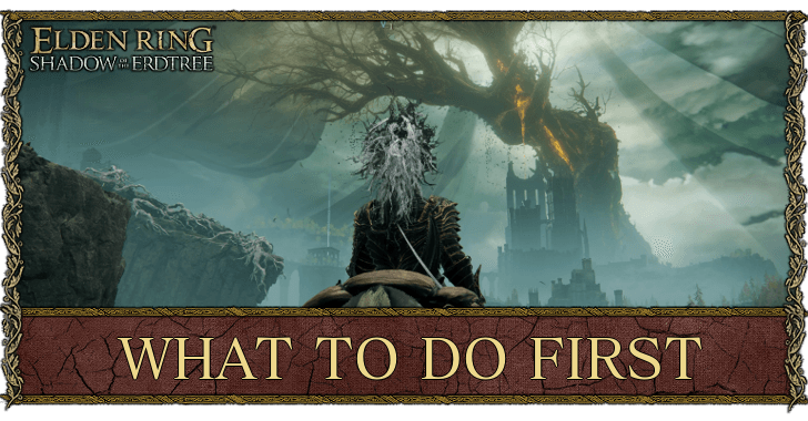 Elden Ring Shadow of the Erdtree What to Do First in the DLC