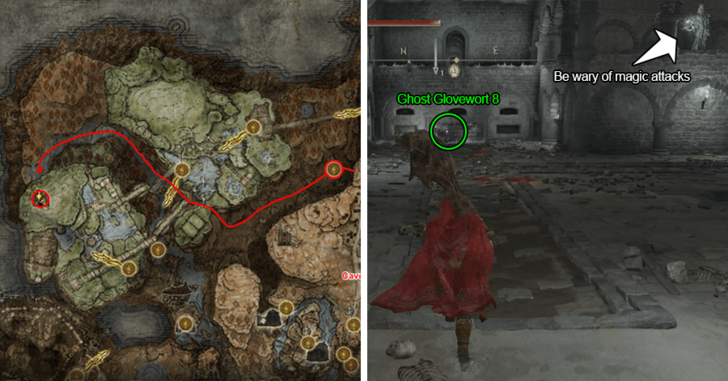 Ghost Glovewort 8 - Scorpion River Catacombs