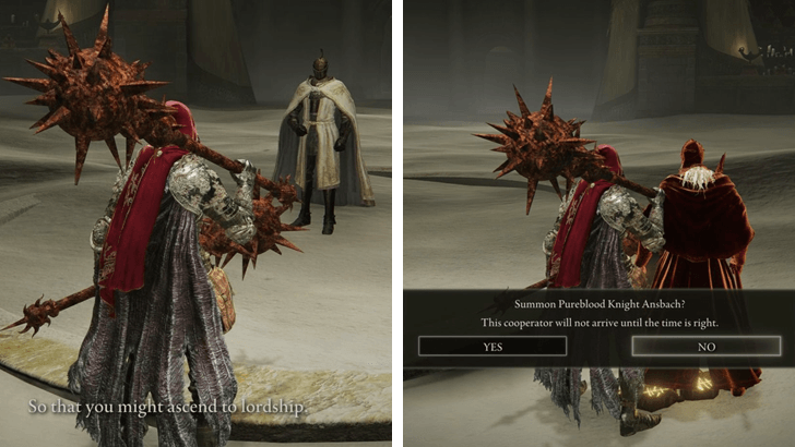 Defeat Leda and Her Allies in Enir-Ilim