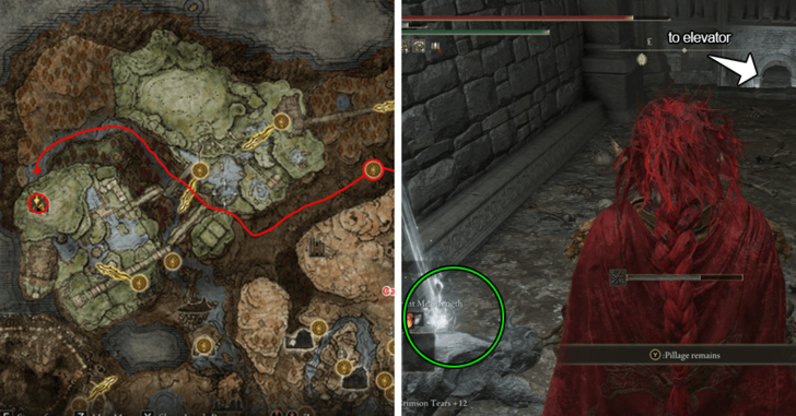 Ghost Glovewort 6 - Scorpion River Catacombs