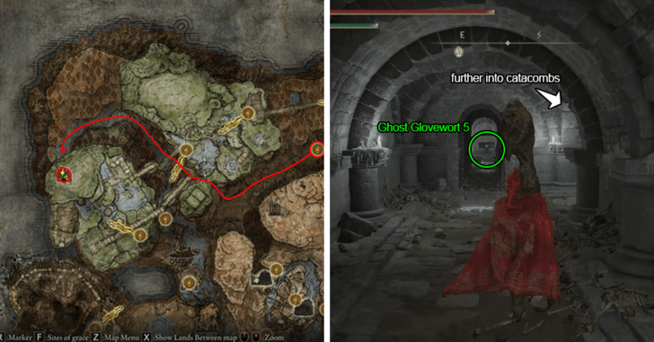 Ghost Glovewort 5 - Scorpion River Cat.png