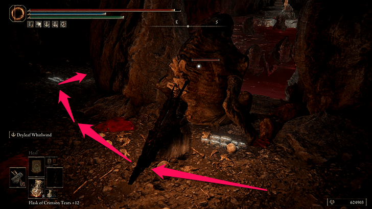 Elden Ring - Rivermouth Cave 8