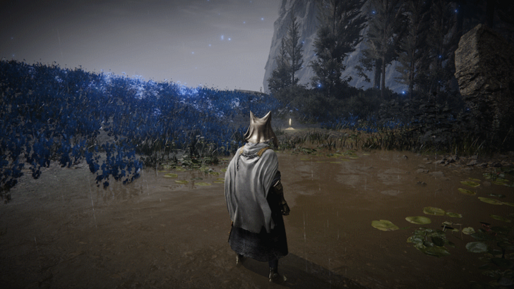 Elden Ring - Cerulean Coast West Site of Grace World Location