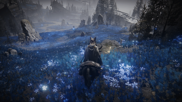 Elden Ring - Cerulean Coast Site of Grace World Location