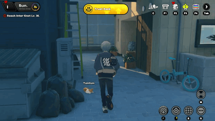 Upgrade - Precious Document Rewards