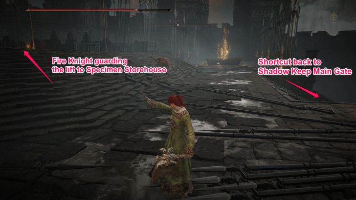 Path to Specimen Storehouse