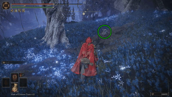 Elden Ring - St. Trina Disciple