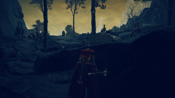 Elden Ring - Village of Flies World View