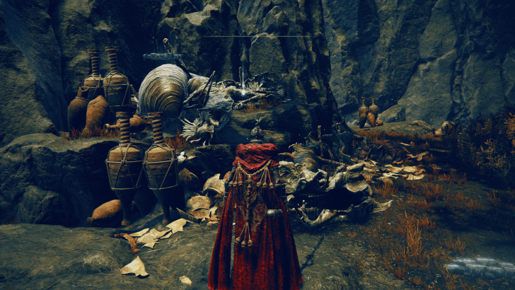 Elden Ring - Village of Flies Man-Fly Ashes World View