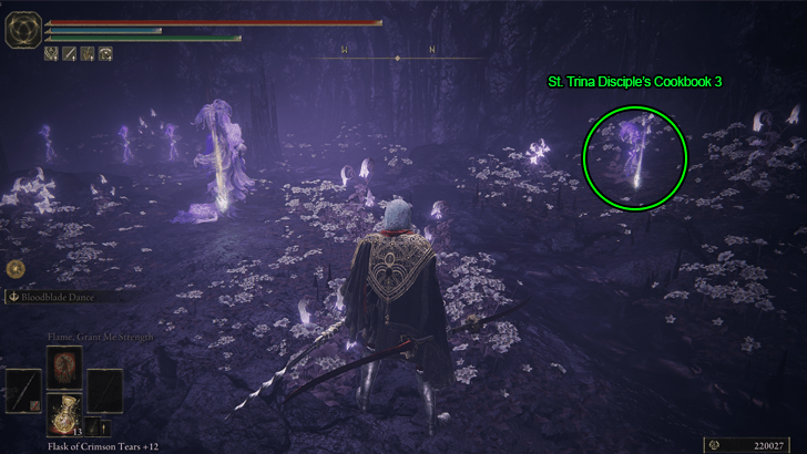 Elden Ring - St. Trina Disciple