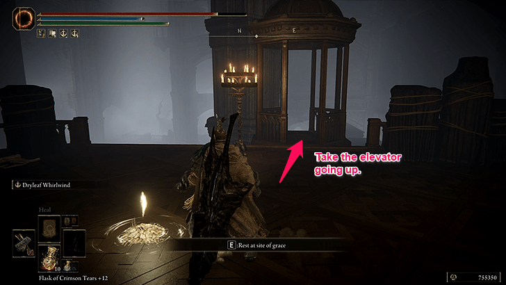 Elden Ring - Scadutree Chalice 15