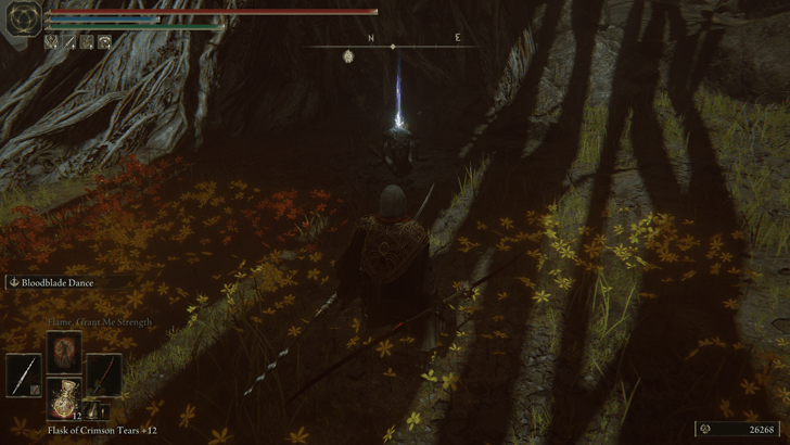 Elden Ring - Mad Craftsman