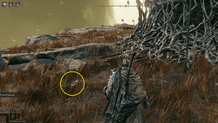 Elden Ring - Blessed Bone Shard at the Scadutree Chalice