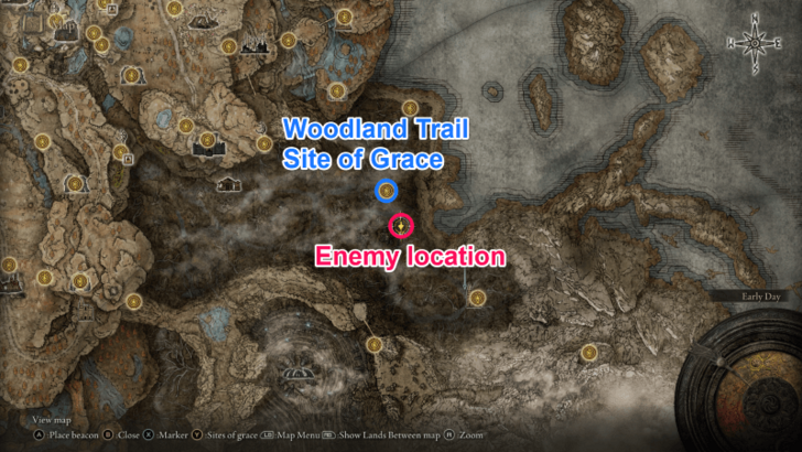 Reach the Woodlands Trail