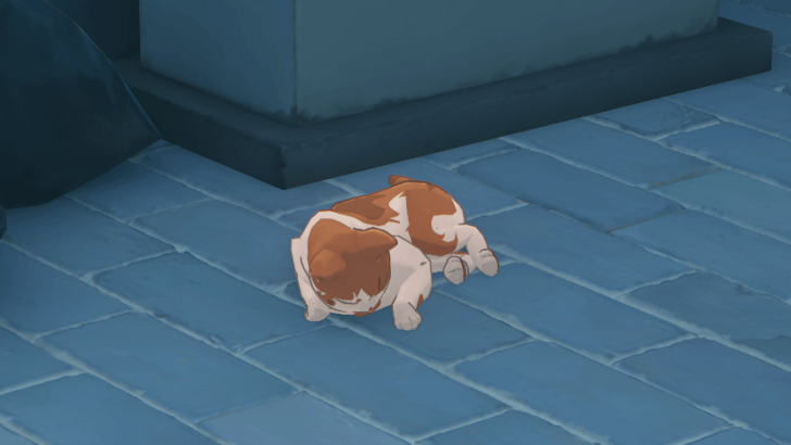 You Can Only Pet Cats if They Are Lying Down