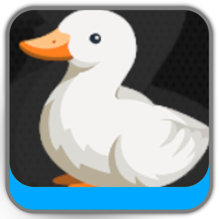 Wild Duck Out of Its Cage