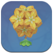 Genshin - Scattering Blossoms