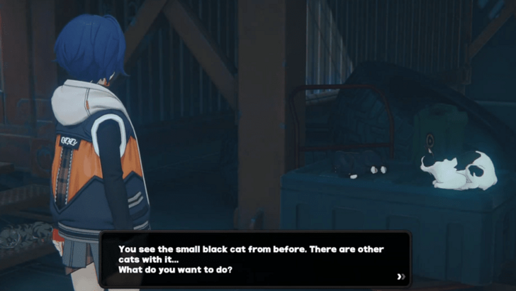 Trust Event - Inky - Multiple Cats