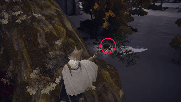 Somber Smithing Stone 6 -  Deeproot Depths Scarab