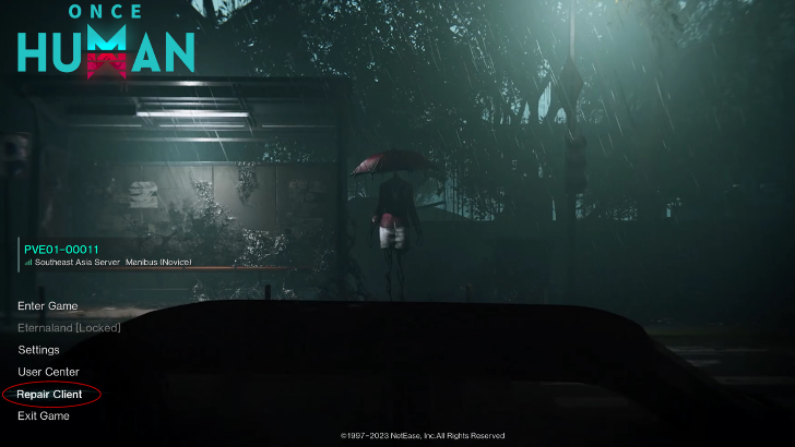 Use The Repair Client Function